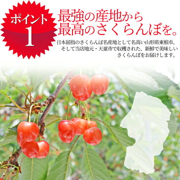 【2020年7月上旬発送・先行早割】 さくらんぼ 紅秀峰 特秀 2L玉 300g 鏡詰め ギフト 贈答品として人気です 山形県産を産地直送 化粧箱入 送料無料