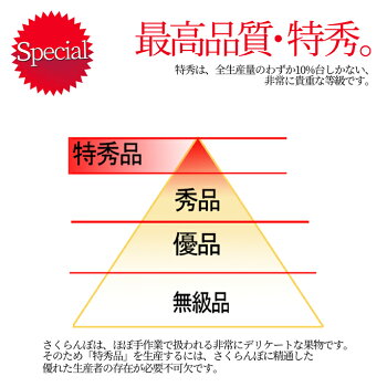 特秀さくらんぼ佐藤錦2