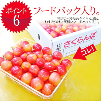 特秀さくらんぼ佐藤錦8