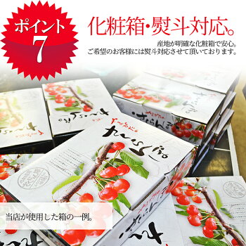 特秀さくらんぼ佐藤錦9