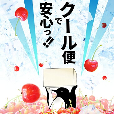 【2020年6月下旬発送・先行早割】 さくらんぼ 佐藤錦 秀品 2L玉 700g入（350g×2）大粒 2L ギフト 発泡ギフト 保冷剤入り 山形県 東根市から産地直送　サイズ以上 同梱不可 日時指定不可 送料無料 クール便発送