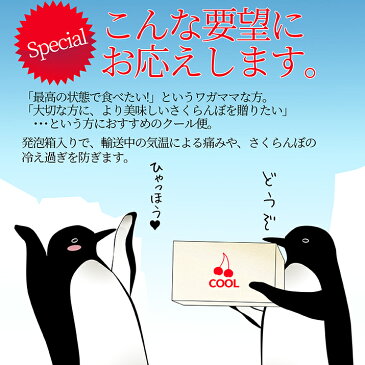 【2020年6月下旬発送・先行早割】 さくらんぼ 佐藤錦 秀品 2L玉 700g入（350g×2）大粒 2L ギフト 発泡ギフト 保冷剤入り 山形県 東根市から産地直送　サイズ以上 同梱不可 日時指定不可 送料無料 クール便発送