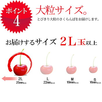 特秀さくらんぼ佐藤錦6