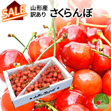 コロナ 応援 【楽天スーパーSALE・目玉商品】 さくらんぼ 1kg お徳用 佐藤錦 紅秀峰 他 山形県産 バラ詰めお一人様2箱まで 家庭用 数量限定 産地直送 訳あり サイズ混合 送料無料 ※遠方へは別途送料がかかります 果物 コロナ 応援 ふっこう復袋