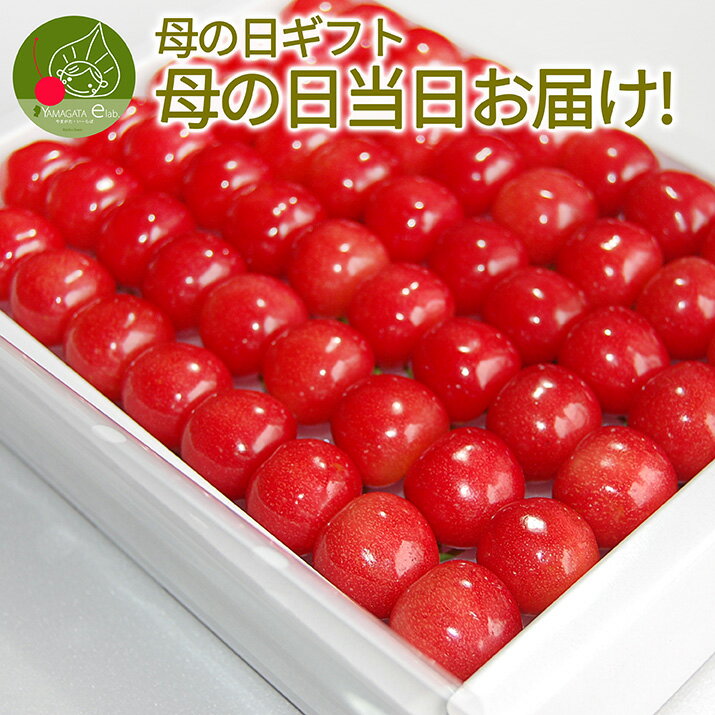 ＼母の日 早割10%OFF 今なら当日お届けOK!／＼エントリーで最大100%ポイントバック／ さくらんぼ 佐藤錦 特秀 L玉 鏡詰め 300g 山形県 産地直送 化粧箱入 プレゼント 産地直送 手詰め メッセージカード付き 送料無料 果物 フルーツギフト あす楽