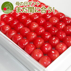 ＼母の日 早割 まだ間に合う／ さくらんぼ 佐藤錦 特秀 L玉 鏡詰め 300g 山形県から産地直送 化粧箱入 プレゼント 産地直送 手詰め メッセージカード付き 花以外ならコレ 送料無料 果物 フルーツギフト加温 内祝い メディアで話題