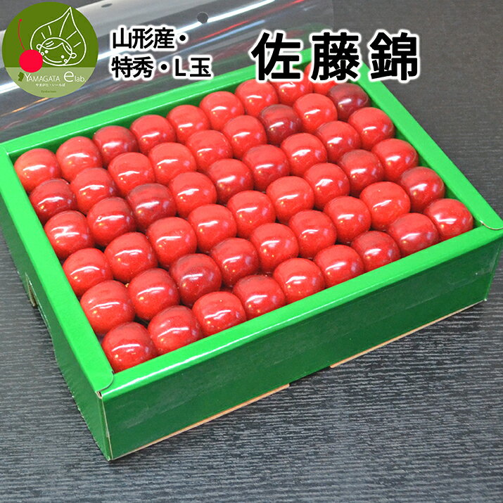 さくらんぼ 【2024年6月下旬発送 先行早割】 さくらんぼ 佐藤錦 特秀 L玉 500g(鏡詰め) 山形県産 産地直送 化粧箱入 プレゼント お中元 ギフト 品質保証 贈答品 のし グルメ お取り寄せ 送料無料【失敗したくない方へ】【ステビア栽培】 お中元