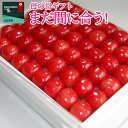 母の日 ギフト さくらんぼ 佐藤錦 特秀 L玉 鏡詰め 30...