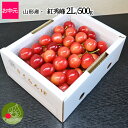 さくらんぼ 紅秀峰 山形県産 秀品 2L 500g 化粧箱入...