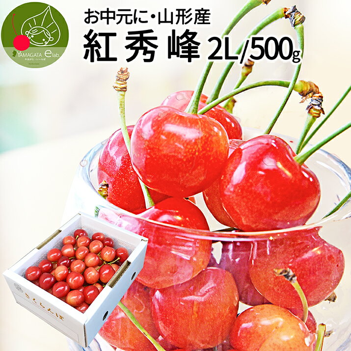 さくらんぼ 【2024年7月上旬発送 先行早割】 さくらんぼ 紅秀峰 2L 秀品　500g 化粧箱入り 山形県産 大粒 佐藤錦の次はこちら 紅秀峰 送料無料 人気 送料無料 同梱不可 産地直送 お中元