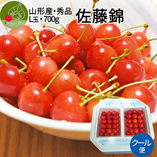【6月中旬発送 先行早割】 さくらんぼ 佐藤錦 秀品 L玉 700g入(350g×2)ギフト 発泡ギフト 保冷剤入り 山形県 東根市から産地直送 大粒Lサイズ以上 同梱不可 日時指定不可 送料無料 クール便発送 【6月中旬発送 先行早割】 さくらんぼ 佐藤錦 秀品 L玉 700g入(350g×2)ギフト 発泡ギフト 保冷剤入り 山形県 東根市から産地直送 大粒Lサイズ以上 同梱不可 日時指定不可 送料無料 クール便発送