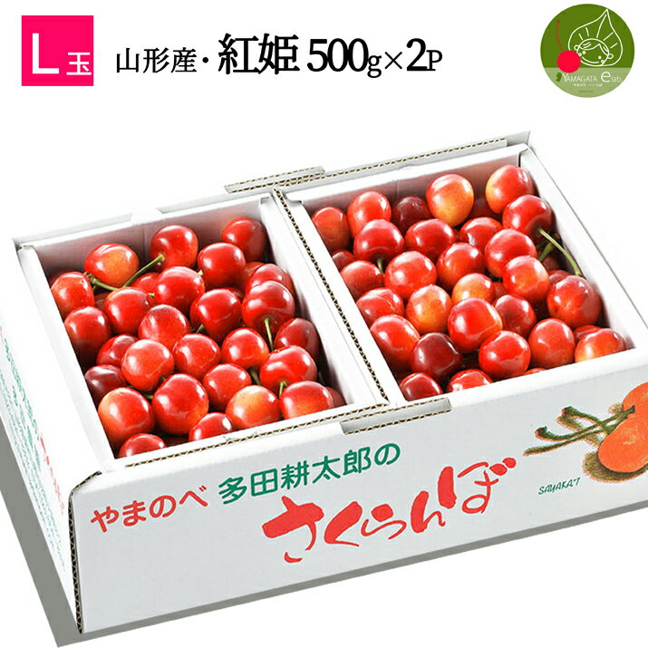 【2024年7月中旬発送 先行早割】 山形県産 さくらんぼ紅姫 L玉 500g×2P バラ詰 多田農園のさくらんぼ 大粒 山形県産 …