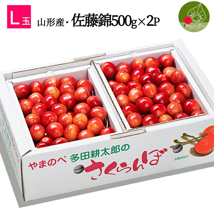 【2024年6月中旬発送 先行早割】 山形県産 さくらんぼ佐藤錦 L玉 500g×2パック 1kg 多田農園のさくらんぼ 大粒 山形…