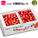 【6月中旬発送・先行早割】 山形県産 さくらんぼ佐藤錦 L玉 500g×2パック 1kg 多田農園のさくらんぼ 大粒 山形県産 産地直送 化粧箱入 お中元 御中...