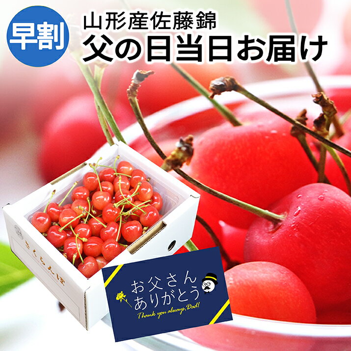 さくらんぼ 【父の日 今なら当日お届けOK！】 さくらんぼ 佐藤錦 贈答品 500g×1パック メッセージカード付 秀品 L玉 のし 食べ物 人気 送料無料 同梱不可 産地直送 山形県産 父の日 お中元