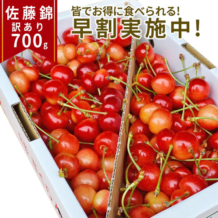 【2024年6月下旬発送 先行早割】 山形県産 さくらんぼ 訳あり 佐藤錦 700g(バラ詰め) 送料無料 家庭用