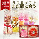 \まだ間に合う 母の日 ギフト/ ハーバリウム & さくらんぼ 佐藤錦 秀品 M玉 ギフトセット 送料無料 花束 ハーバリウム とダイヤパック入り ギフトカード...