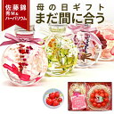 \まだ間に合う 母の日 ギフト/ ハーバリウム & さくらんぼ 佐藤錦 秀品 M玉 ギフトセット 送料無料 ギフトカード 花束 カーネーション バラ 枯れない花...