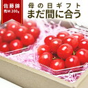 フルーツ  母の日向き（3000円） ＼GW限定・今だけポイント10倍 母の日 まだ間に合う／ さくらんぼ 佐藤錦 200g (100g×2) 山形県産 産地直送 化粧箱入 プレゼント ギフトカード 産地直送 手詰め オリジナルダイヤパック バラ詰め（Mサイズ) 送料無料 果物 加温