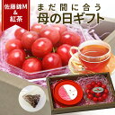 \母の日 ギフト まだ間に合う!/ さくらんぼ 佐藤錦 秀品 M玉 100g & さくらんぼ紅茶 5包 贈答 化粧箱入 プレゼント 産地直送 メッセージカード ...