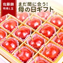 \母の日 さくらんぼ ギフト まだ間に合う!/ 大粒 佐藤錦 特秀 L玉 2L玉 24粒入 山形県産 カーネーション(造花) & メッセージカードつき 化粧箱入...