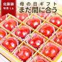 ＼母の日 ギフト まだ間に合う！／ さくらんぼ 佐藤錦 特秀 L玉 24粒入 化粧箱入 産地直送 手詰め 思い出に残る 送料無料 同梱不可 加温 フルーツギフト 内祝い カーネーション (造花) メッセージカードつき