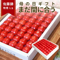 ＼母の日 まだ間に合う／ さくらんぼ 佐藤錦 特秀 L玉 鏡詰め 300g 山形県から産地...