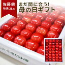 ＼母の日 まだ間に合う／ フルーツ ギフト さくらんぼ佐藤錦 特秀 2L玉 鏡詰め 300g 山形県産 産地直送 化粧箱入 プレゼント 産地直送 手詰め メッセージカード ギフトカード付 花以外ならこれ 送料無料 食べ物 加温