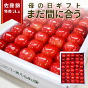 全国お取り寄せグルメ食品ランキング[フルーツ・果物(1～30位)]第28位