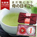 \母の日 ギフト まだ間に合う!/ さくらんぼ 佐藤錦 M玉 & 新茶ティーパック ギフトセット カーネーション(造花) メッセージカード付 ゆたかみどり 魅力...