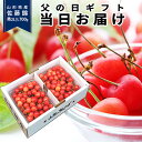 【父の日 早割 当日お届けOK!】さくらんぼ 佐藤錦 秀品 2L/L 700g(350g×2) フルーツギフト 山形県産 産地直送 化粧箱入 プレゼント ギフト...