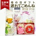 \遅れてごめんね 母の日 ギフト/ハーバリウム & さくらんぼ 佐藤錦 秀品 ギフトセット 送料無料 ハーバリウム とダイヤパック入りの メッセージカード 旬の...