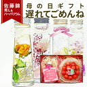 \遅れてごめんね 母の日 ギフト/ ハーバリウム & さくらんぼ 佐藤錦 秀品 L玉 ギフトセット 送料無料 ハーバリウム とダイヤパック入りの メッセージカー...