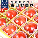\父の日 早割 今なら当日お届けOK!/ さくらんぼ 佐藤錦 特秀 L玉 24粒入 化粧箱入 産地直送 手詰め 思い出に残る 送料無料 同梱不可 加温 フルーツ...