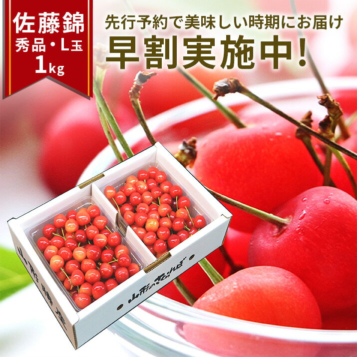 さくらんぼ 【2024年6月下旬発送 先行早割】 さくらんぼ 佐藤錦 贈答品 1kg（500g×2）なんと、名水百選の水を使って栽培 山形県 東根市から産地直送 L 2Lサイズ 送料無料 同梱不可 日時指定不可