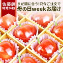 さくらんぼ ＼母の日 まだ間に合う／ ギフト さくらんぼ 佐藤錦 特秀 L玉 24粒入 化粧箱入 産地直送 手詰め 思い出に残る 送料無料 同梱不可 加温 フルーツギフト 内祝い メッセージカードつき