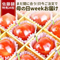 ＼母の日 ギフト まだ間に合う！／ さくらんぼ 佐藤錦 特秀 L玉 24粒入 化粧箱入 ...