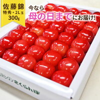 ＼母の日 早割 ギフト!／ フルーツ ギフト さくらんぼ佐藤錦 特秀 2L玉 鏡詰め 300...