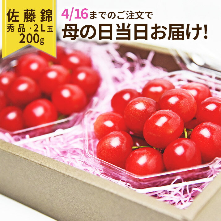 ＼母の日 早割 今なら当日お届けOK!／ ギフト さくらんぼ 佐藤錦 2L玉 ダイヤパック100g×2個 山形県産 ギフト 化粧箱入 プレゼント 産地直送 手詰め メッセージカード ギフトカード 付き ギフト 思い出 オリジナル 送料無料 果物 加温 内祝い