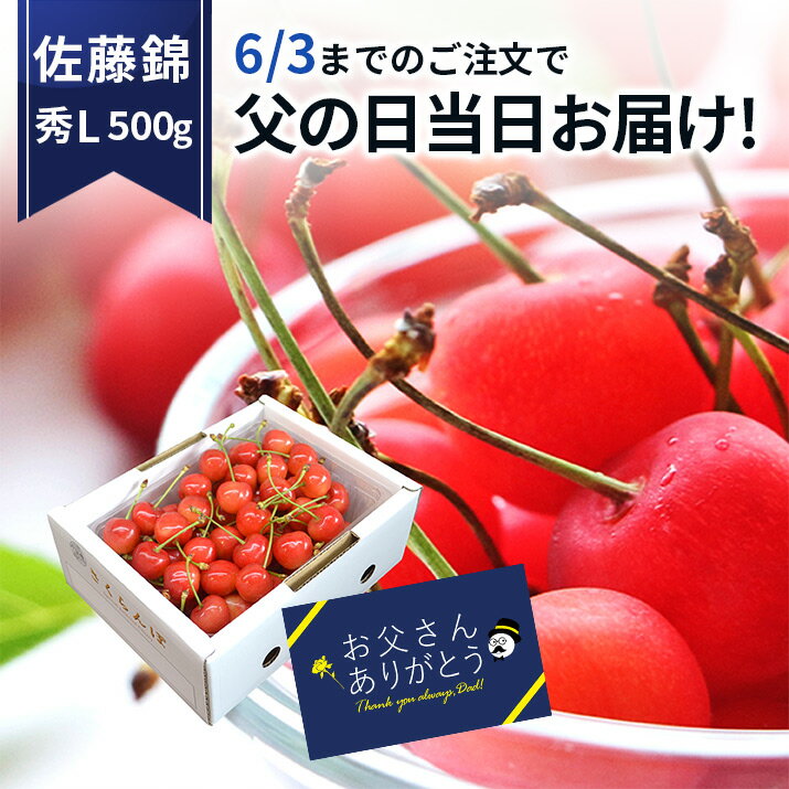 ＼父の日 早割 今なら当日お届けOK!／ さくらんぼ 佐藤錦 贈答品 500g×1パック メッセージカード付 秀品 L玉 のし 食…