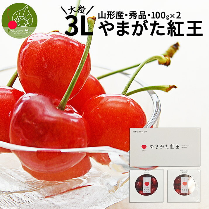 【2024年6月中旬発送】 山形県産 さくらんぼ 紅王 秀品 3L 100g×2パック ギフト箱入り大粒 2L より大きい 化粧箱入 産地直送 手詰め 思い出に残る 送料無料 同梱不可 フルーツギフト 果物 お中元