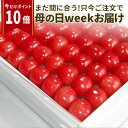 【ポイント10倍】\母の日 ギフト まだ間に合う!/ さくらんぼ 佐藤錦 特秀 L玉 鏡詰め 300g 山形県 産地直送 化粧箱入 プレゼント 産地直送 手詰め...