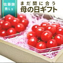 \母の日 ギフト まだ間に合う!/ さくらんぼ 佐藤錦 L玉 100g×2個 化粧箱入 ダイヤパック 加温栽培 山形県産 プレゼント 産地直送 手詰め ギフトカ...