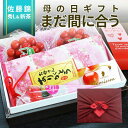 \まだ間に合う 母の日 ギフト/ さくらんぼ 佐藤錦 大粒 L玉 & 新茶 ギフト 風呂敷包 カーネーション(造花) メッセージカード入 送料無料 八女茶80g...