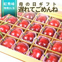 \遅れてごめんね 母の日 ギフト/ さくらんぼ 紅秀峰 特秀 2L玉 24粒入 ギフト カーネーション 造花 付き 化粧箱入 産地直送 手詰め メッセージカード...