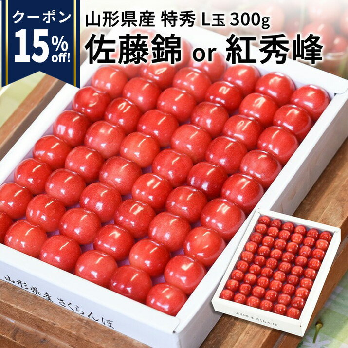 ＼ありがとう!15%offクーポン!／ さくらんぼ 佐藤錦 or 紅秀峰 特秀 L玉 鏡詰め 300g 山形県 産地直送 化粧箱入 プレゼント 産地直送 手詰め メッセージカード付き 送料無料 果物 フルーツギフトのサムネイル