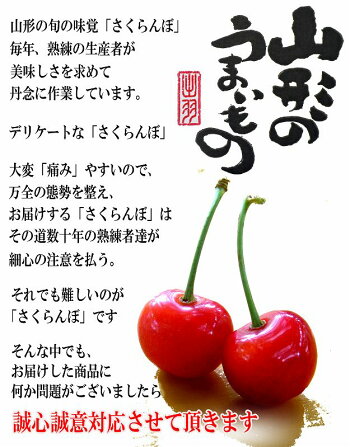 特秀さくらんぼ佐藤錦11