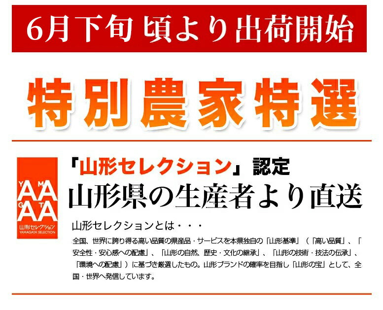 山形県東根市『佐藤錦』