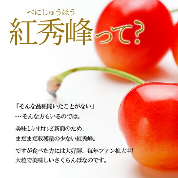 【2020年7月上旬発送・先行早割】 さくらんぼ 紅秀峰 特秀 2L玉 300g 鏡詰め ギフト 贈答品として人気です 山形県産を産地直送 化粧箱入 送料無料