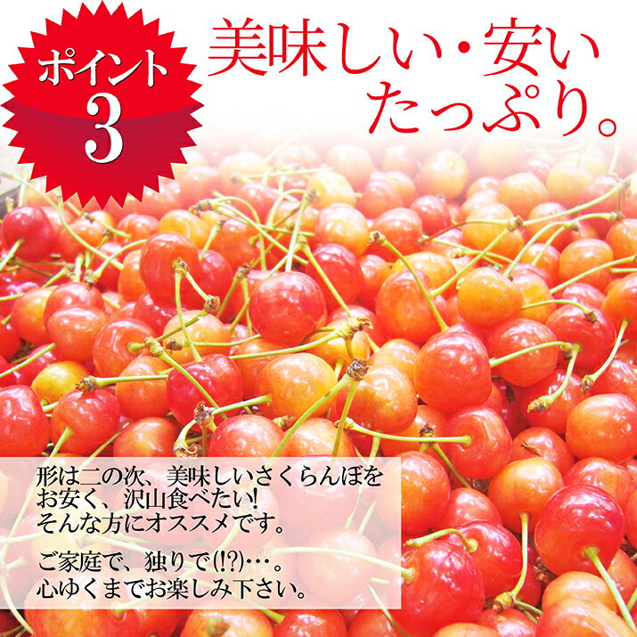 さくらんぼ佐藤錦6